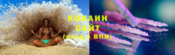 ПСИЛОЦИБИНОВЫЕ ГРИБЫ Заводоуковск