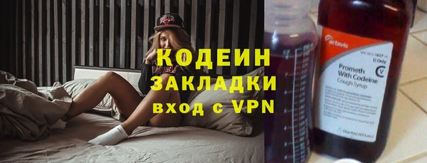 ПСИЛОЦИБИНОВЫЕ ГРИБЫ Заводоуковск