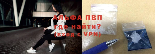 ПСИЛОЦИБИНОВЫЕ ГРИБЫ Заводоуковск