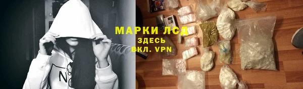 ПСИЛОЦИБИНОВЫЕ ГРИБЫ Заводоуковск