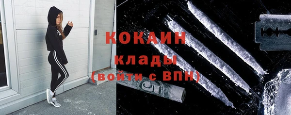 ПСИЛОЦИБИНОВЫЕ ГРИБЫ Заводоуковск